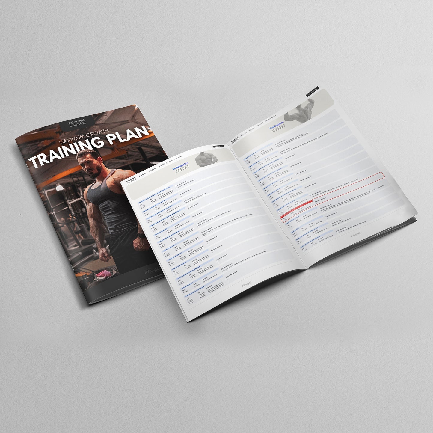 Trainingsplan